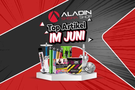 Top Artikel im Juni: Aladin 2Go, HQD Hoova und mehr!