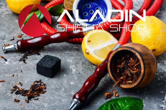 Der perfekte Shisha Schlauch: Worauf solltest du achten?