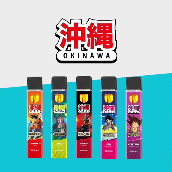 OKINAWA - H3 - Einweg Vape
