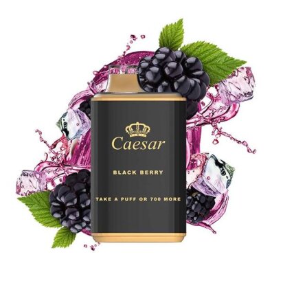 Caesar Blackout Edition - Blackberry - Einweg Vape