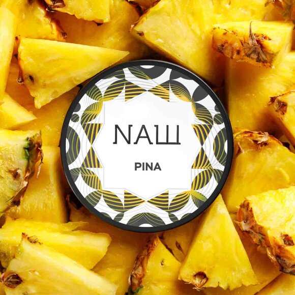 Nasch Tabak 25g - Pina