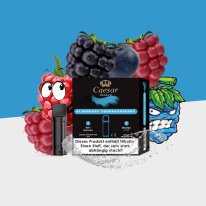 Caesar Shadow - Blueberry Sour Raspberry - Pod (2er Pack)