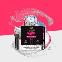 Caesar Shadow - Pitaya Ice - Pod (2er Pack)