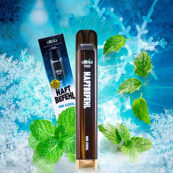 Haftbefehl V2 - Mr. Cool - Einweg Vape